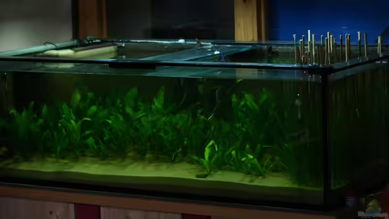 etwas dunkel von Stefan Kaiser (2)