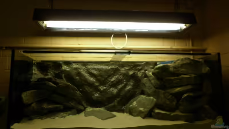 Etwas duster... von Julien Preuß (38)