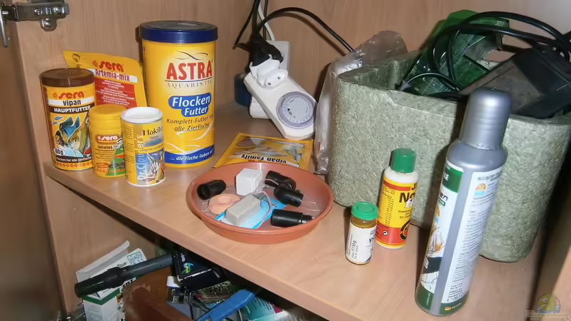 etwas Futtervorrat von acuticeps (13)