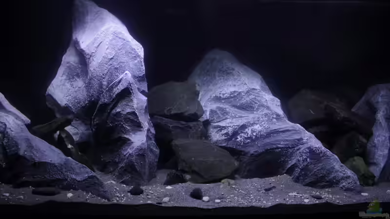 Etwas näher von Jürgen Hubral (17)