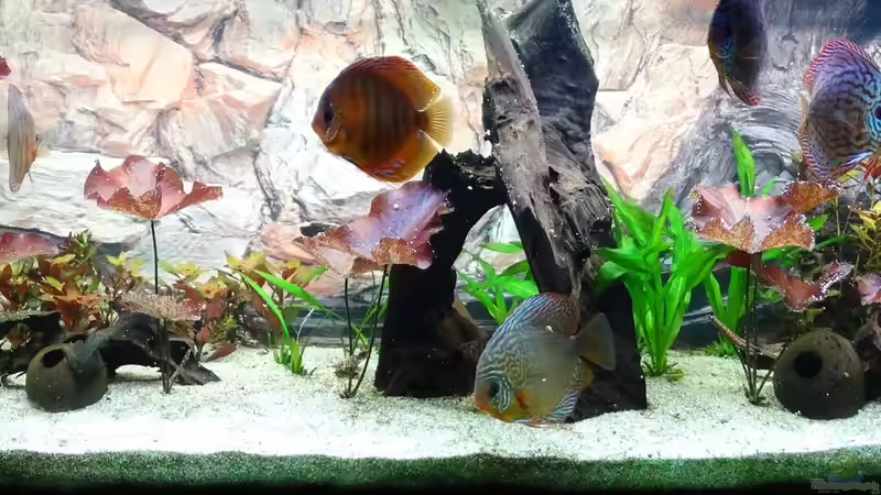 etwas später von Hydropneumat (3)