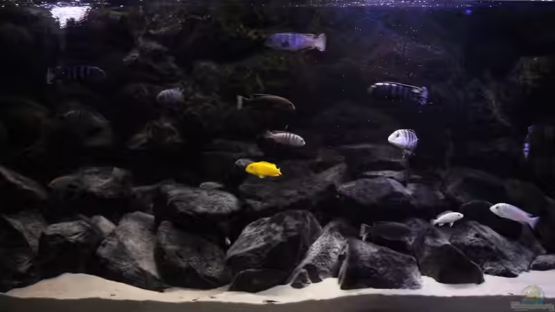 Etwas verändert mittlerweile :D Oktober 2015 von Nina Hutter (10)