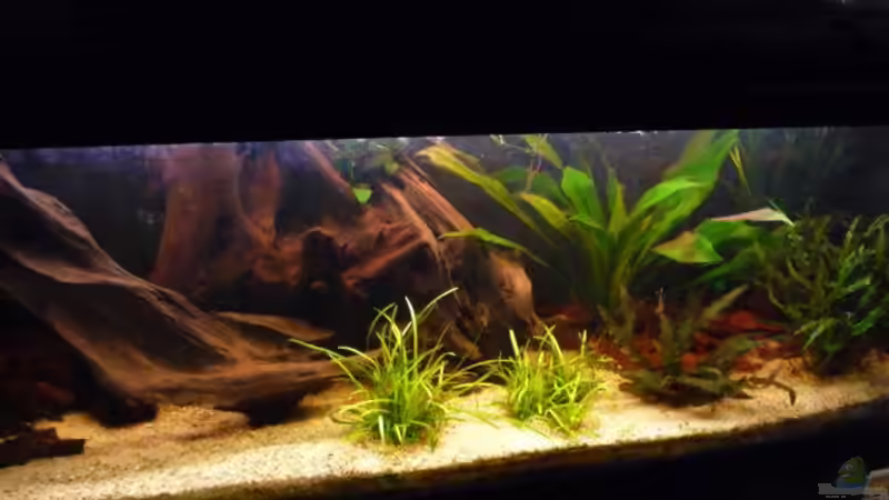 etwas von links von Bavaria (3)