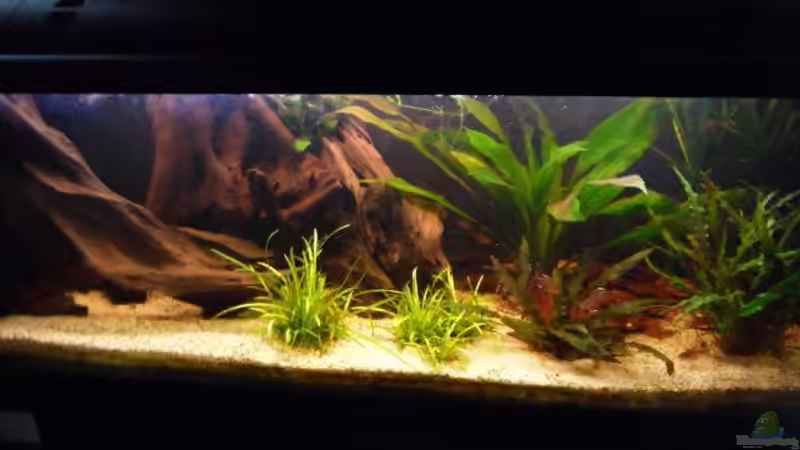 etwas von rechts von Bavaria (2)