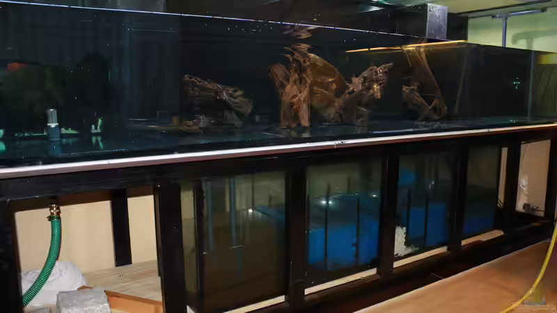 Etwas zu Hoch geraten, der Filter. von Fishers Friend (19)