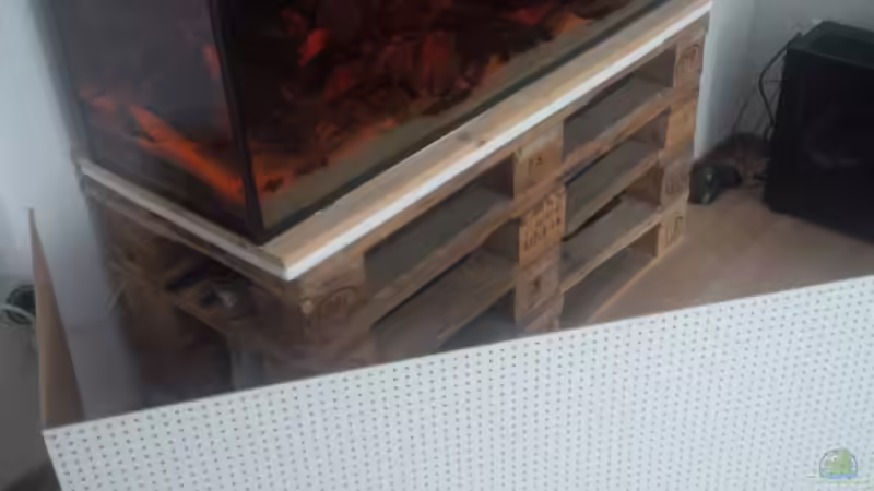 Europaletten mit Aussparungen für die Filter. Können zum reinigen einmal seitlich von pacho (17)