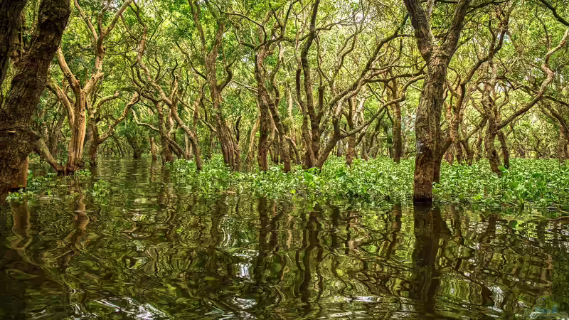 Euryhalin - Anpassungskünstler zwischen Süß- und Salzwasser