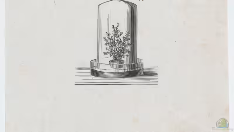 Evolution der Terraristik: Eine Zeitreise durch Veränderungen und Fortschritte