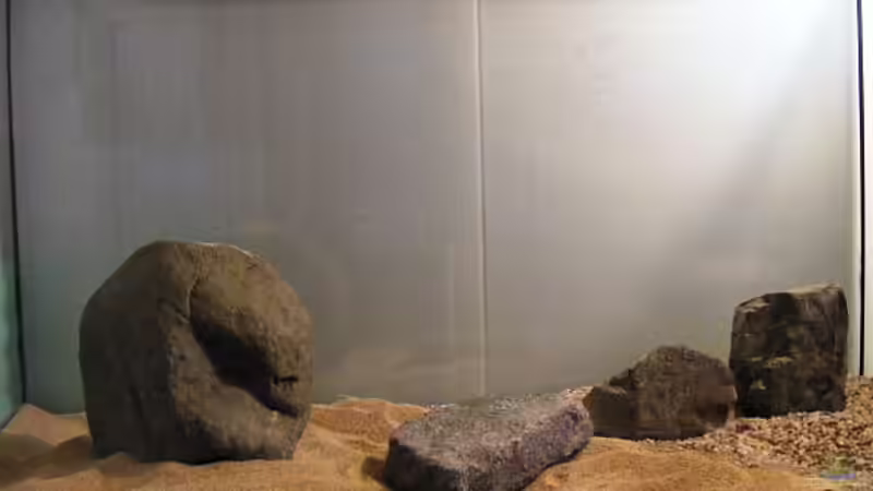 Exclusiv für EB von Aquascape-Guru-  Asien-Biotop - ein neues Naturbecken entsteht