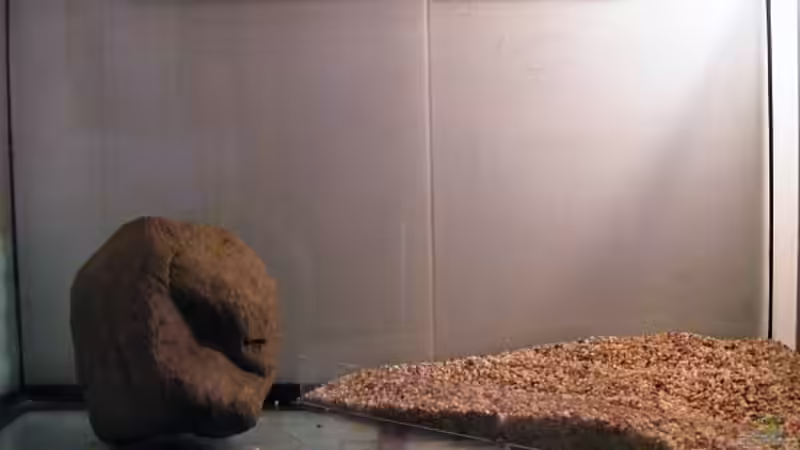 Exclusiv für EB von Aquascape-Guru-  Asien-Biotop - ein neues Naturbecken entsteht