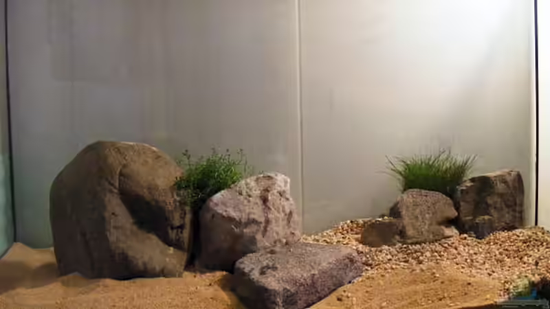 Exclusiv für EB von Aquascape-Guru-  Asien-Biotop - ein neues Naturbecken entsteht