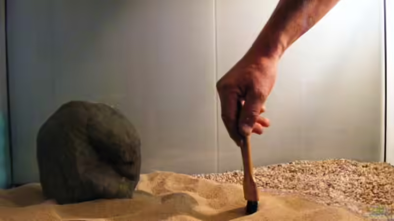 Exclusiv für EB von Aquascape-Guru-  Asien-Biotop - ein neues Naturbecken entsteht