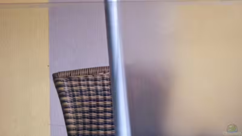 Exclusiv von Aquascape-Guru für EB - Grundkurs ..wie ein Becken entsteht