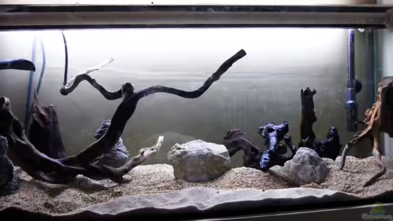 Exclusiv von Aquascape-Guru für EB - Grundkurs ..wie ein Becken entsteht