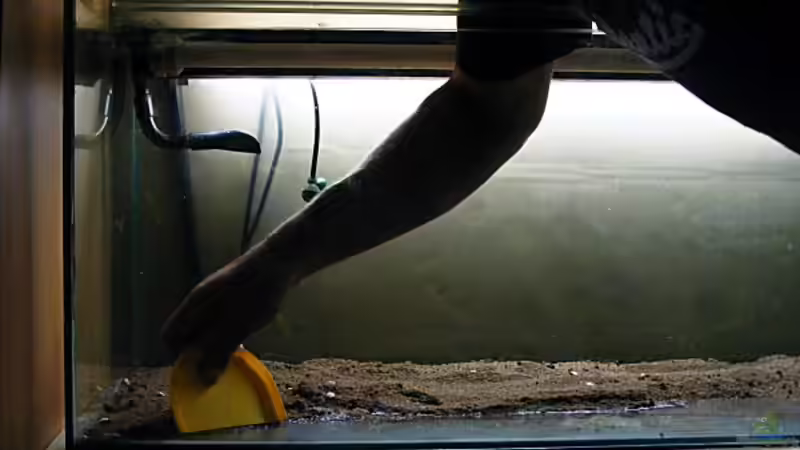 Exclusiv von Aquascape-Guru für EB - Grundkurs ..wie ein Becken entsteht