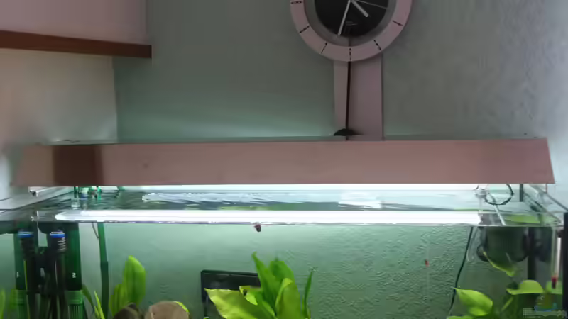 exklusive Aluabdeckung 3/2005 von Andreas Petkelis (7)