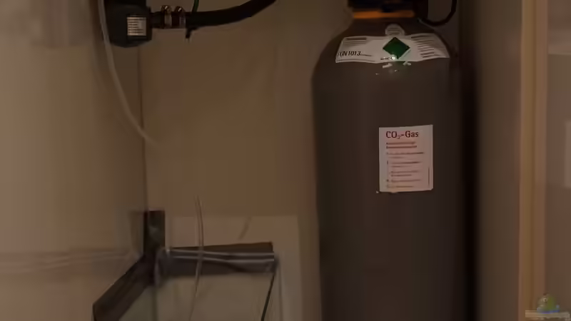 Fach links mit CO2 Anlage von Jonas B. (32)