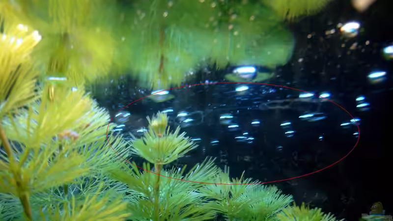 Fäden von Hans-Peter Kröher (15)