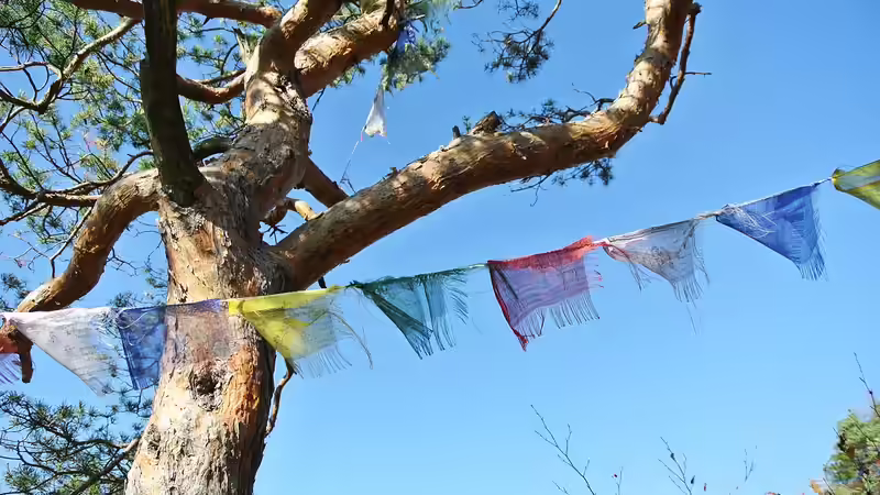 Fahne im Garten - Ideen, Tipps und Gestaltungsmöglichkeiten