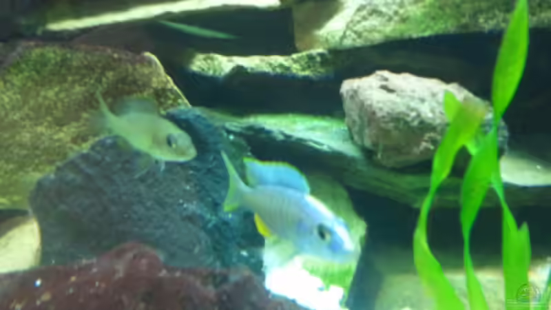 Famillenausflg von relkov (6)