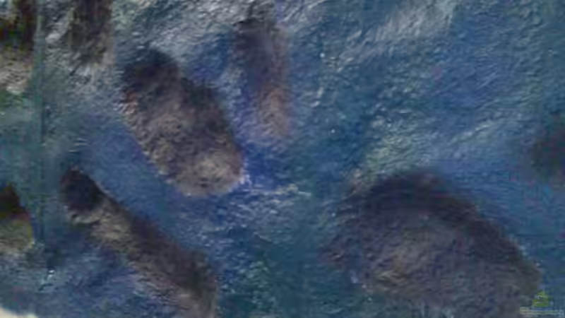 farb-proben von Renè Rupf (21)