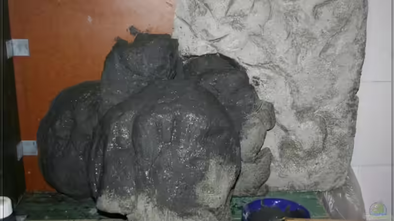 Farbanstrich von Pütti (8)