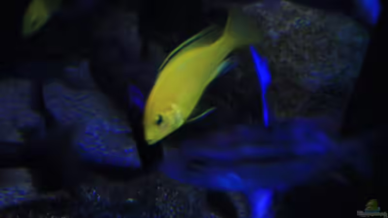 Farbe  von Florian Bandhauer (26)