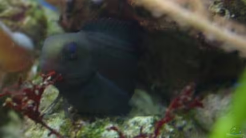 Farbe heute von Jens Just (18)