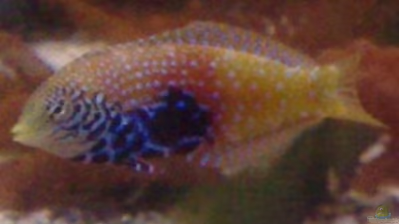 Farbe heute von Jens Just (20)