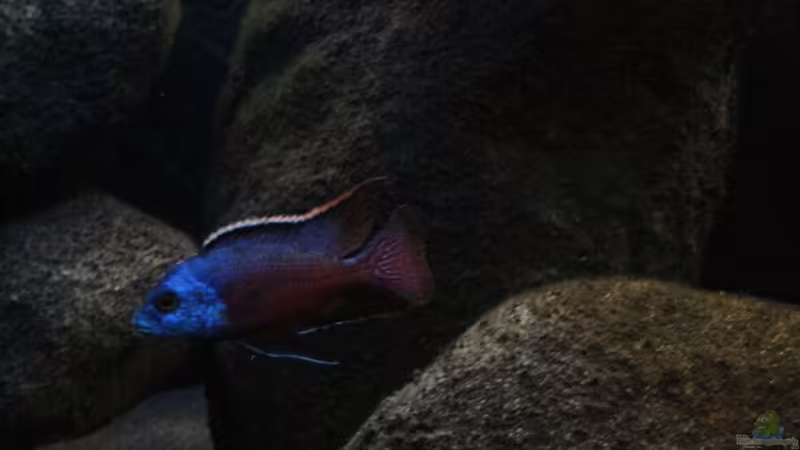 Farbe im Stein, Bild noch vor der Umgestaltung am 07.10.2011 von Florian Bandhauer (27)