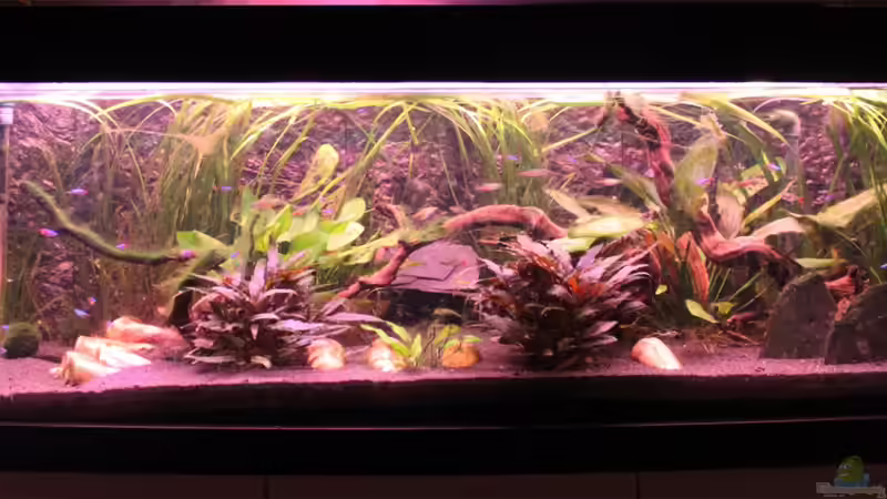 Farbenspiel beim ??bergang vom Tages- zum Nachtlicht (Dauer gesamt 2h) von GothRiderz (6)