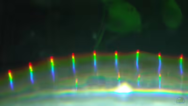 Farbspektrum ;-) von PH Neutral (26)