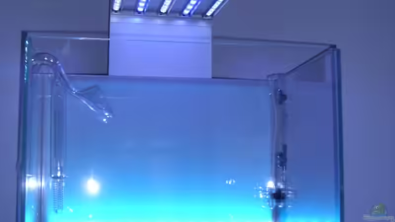 Farbspiel 1 von tsmeey (13)