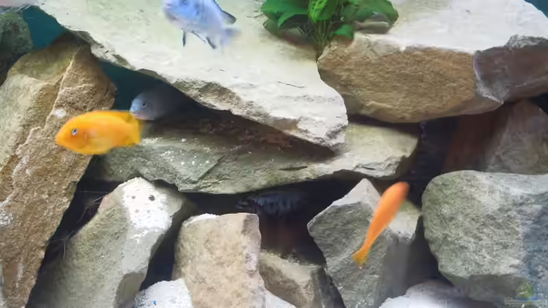 Farbspiele von Volker Alms (51)