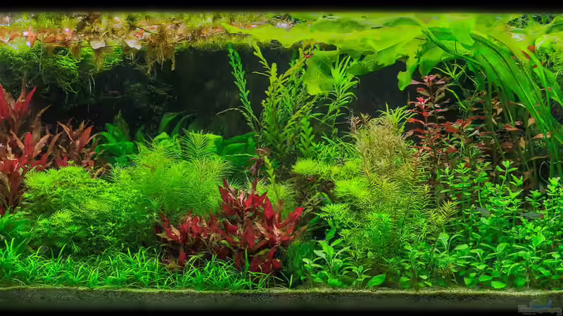 Farbträume 2.0 von Ralf64 (1)