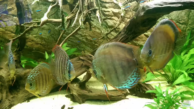 Fast alle aufs Bild bekommen von Ottche (56)