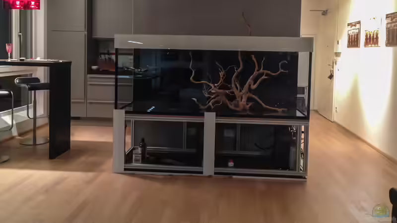 Fast fertig...... von JARB (26)