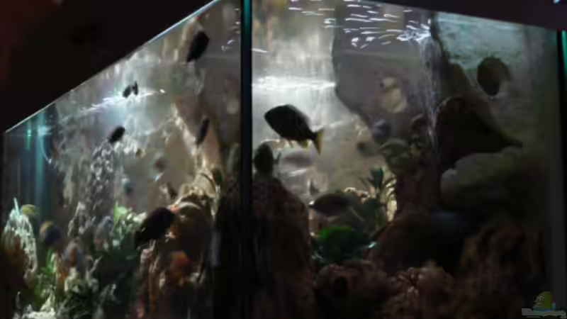 Fast fertig eingerichtet von Christian Klar (5)