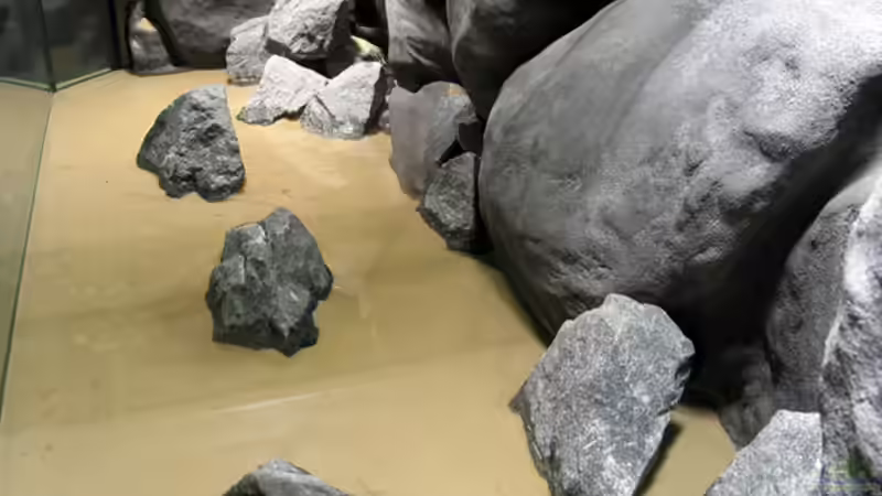 Fast fertig eingerichtet von Schlock (7)