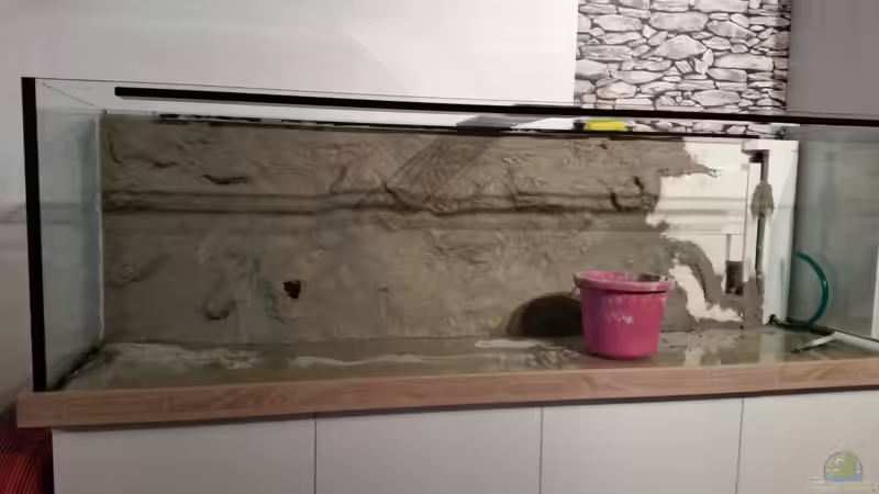 Fast Fertig mit dem verputzen von Patrick`s Amazonas (14)