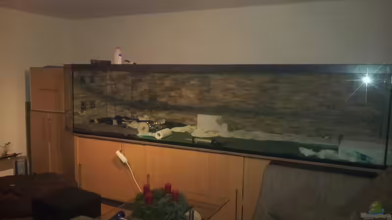 Fast fertig mit der Rückwand von Kenno (3)