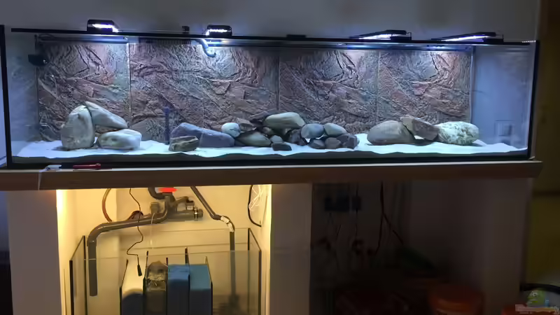 Fast Fertig von Fallendum (11)