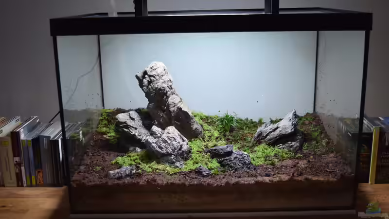 fast fertig von Junglist (10)