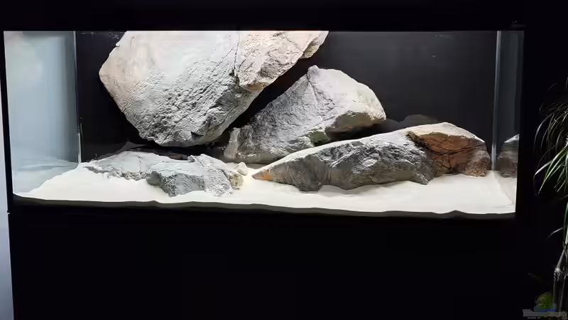 Fast fertig von Leucki (14)