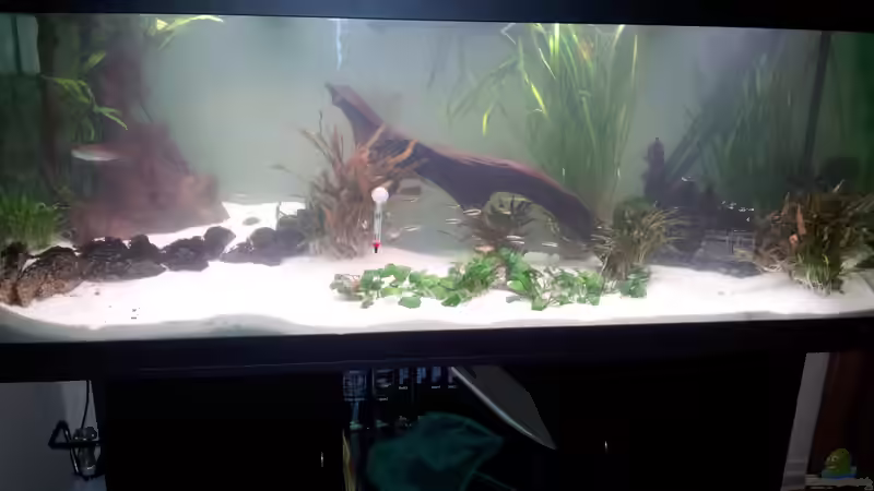 Fast Fertig von Mateusz (5)