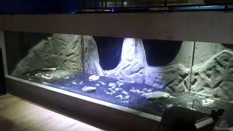 Fast fertig von Pearlray (14)