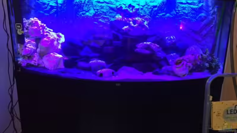 fast fertig! von Tabea Frey (8)