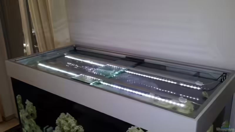 Fast fertige Abdeckung von Tom M. (5)