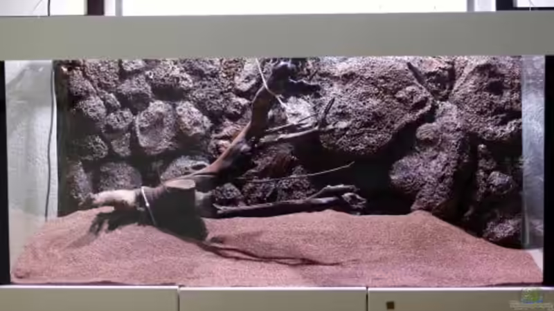 fast fertiges Hardscape von Frank Chelaifa (7)