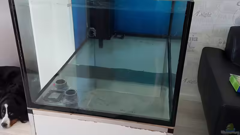 Fast geschafft, kann bald kein Putzzeug mehr sehen von Kai Heermann (6)